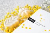 COFFRET SOIN - MIMOSA - UMAÏ