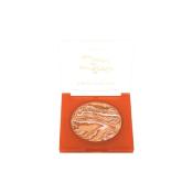 BLUSH POUDRE - TOURBILLON DE POMME - PROFUSION COSMETIC