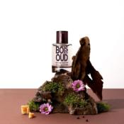 PARFUM - BOIS DE OUD - SOLINOTES 