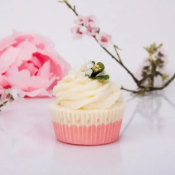 BOMBE DE BAIN COCKTAIL - CUPCAKE - BADEFEE