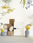 COFFRET SOIN - MIMOSA - UMAÏ