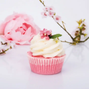 BOMBE DE BAIN FRUITS - CUPCAKE - BADEFEE