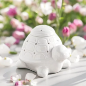 BRULEUR TORTUE FRANKLIN - ZEN AROME 