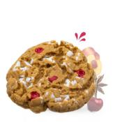 FONDANT COOKIE GOUTER DE NOEL -  LES FEES MERES