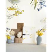 COFFRET SOIN - MIMOSA - UMA