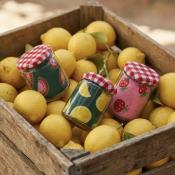 CHAUSSETTES FRUITEES 