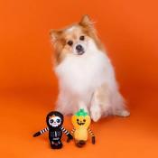 JOUET - TOUTOU - SPECIAL HALLOWEEN 