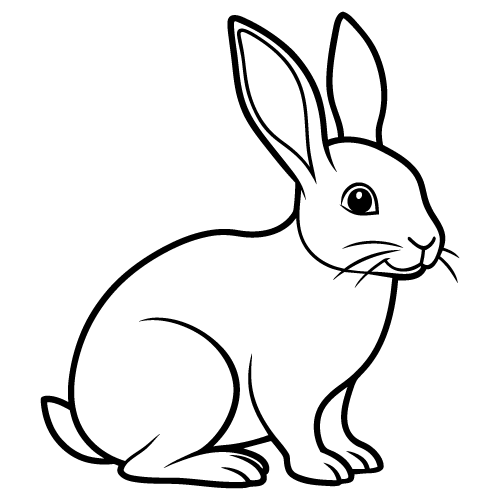 Lapin Blanc