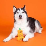 JOUET - TOUTOU - SPECIAL HALLOWEEN 
