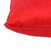 COUSSIN DE NOEL CASSE - NOISETTE
