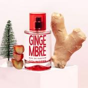PARFUM - GINGEMBRE - SOLINOTES 