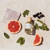 PARFUM - PAMPLEMOUSSE BASILIC - L'ESSENCE DES NOTES 