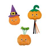 JOUET POUR CHAT- SORCIERE MARGINALE - HALLOWEEN