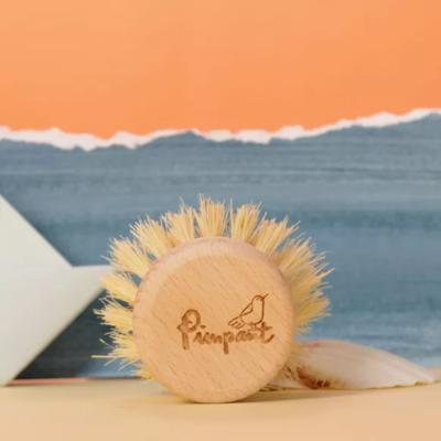 RECHARGE BROSSE VAISSELLE - BOIS - PIMPANT