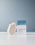 NETTOYANT VISAGE - ZINC - UMAÏ