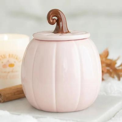 BRULEUR - CITROUILLE ROSE 
