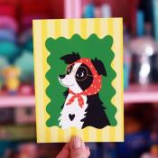 CARTE POSTALE - BORDER COLLIE