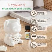 BRULEUR CHAT - AUTOMNE - ZEN AROME 